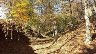 La Valle - Nervesa della Battaglia - 2