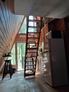 Alpinas del bosque - 7