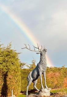 Riverside Retreat - 1