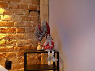 Apartament Żmigród - 8