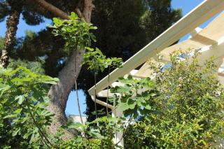 Villetta Fontanelle-Ugento a pochi passi dalla spiaggia - Apulia Home - 1