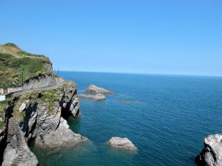 2 Bed in Ilfracombe 00276 - 1