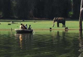 Serene Kabini Wild lodge - 4