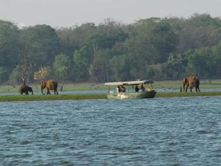 Serene Kabini Wild lodge - 7