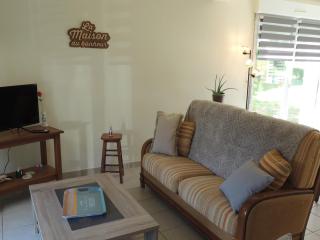 Agapanthe blanche - 0