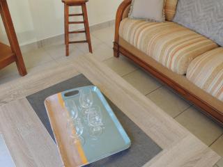 Agapanthe blanche - 8