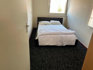 Fokkeboom - Almere - 5