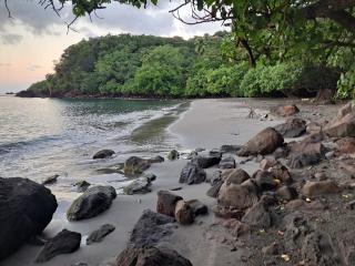 Ti Colibri - 4 people - seaside - Malendure - 2