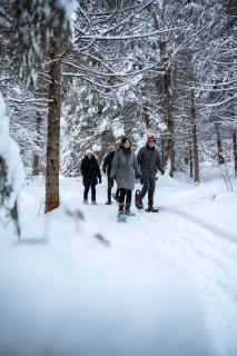 Roitelet Private Hot Tub Luxury Escape, Ski - 6