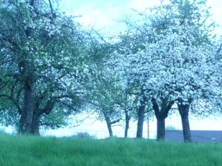 Maison d'Hôtes LA JEANCOISE - 9