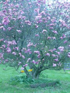 Maison d'Hôtes LA JEANCOISE - 6