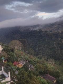 Cabin Wood Resorts , Kodaikanal - 9