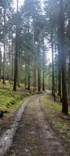 Dom w górach Zacisze lasu - Sucha Beskidzka - 1