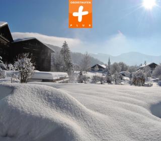 Parkhotel Oberstaufen - 9