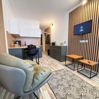 EVIS LTD apartments Gudauri - 4