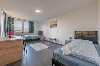 MK Apartments Delmenhorst nähe Bremen 10 - Delmenhorst - 6