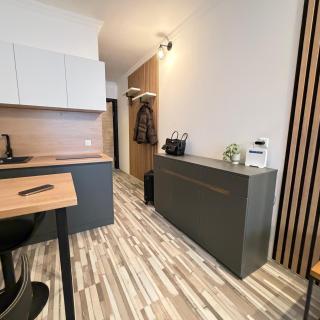 EVIS LTD apartments Gudauri - 6