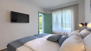 Modern villa Pinca with pool and grill in Vizinada - 2