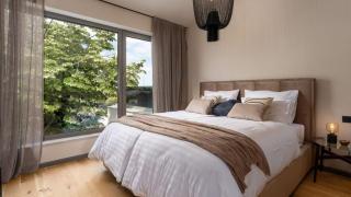 Luxury Villa Lipa Tree with pool in Novigrad - 4