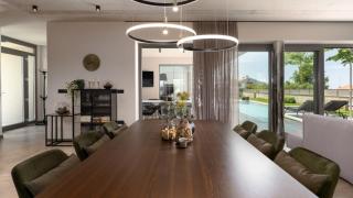 Luxury Villa Lipa Tree with pool in Novigrad - 1