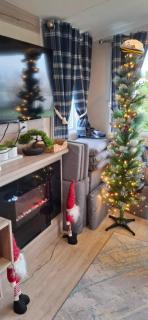 Sea view holiday home with accessible ramp and WiFi - no entertainment and venues access on the park - 6