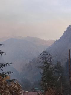 Apple garden cafe and stay - 0