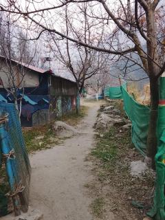 Apple garden cafe and stay - 6