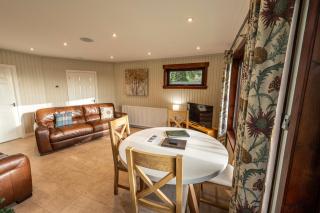 Birch Lodge 20 with Hot Tub - 7