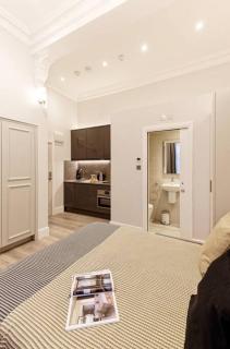 Classy Studio -Notting Hill-Ground floor-W2. - 4