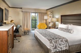 Crowne Plaza Resort Asheville by IHG - Asheville - 4