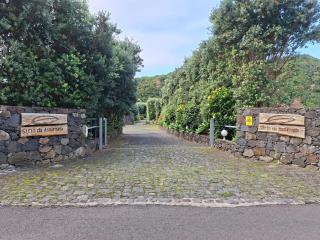 Sítio da Assumada - 9