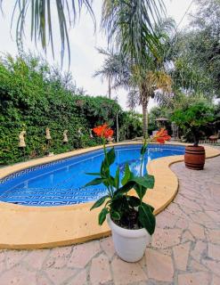 Estudio Privado Venta Ruizo con Piscina Wifi y Parking cerca de el Castillo - 9