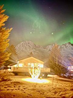 Linda`s house - Grashopen - 9