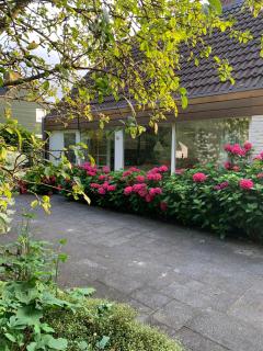 Cozy house near beach and flowers - 0