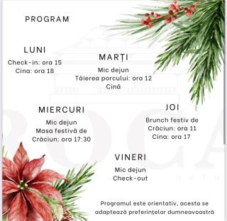 Pensiunea ROCA Maramureș - 8