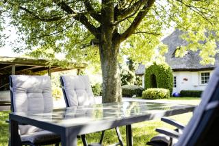 Landhaus Wildrose Ferienwohnung EG - Pantow - 9