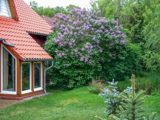 Haus am Wald - 4