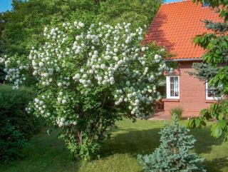Haus am Wald - 3