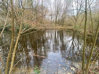 Ankerplatz mit Meerblick, Strand & Hansapark nah, kostenlosen Parken, Pool - 4