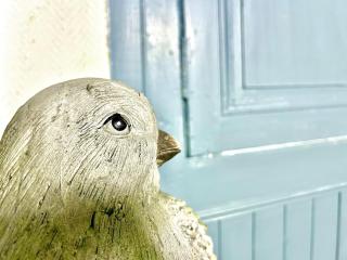 L'Envolée, centre ville parking gratuit - 2