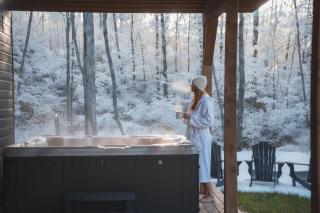 Bellaria with Private Spa, Ski - 9