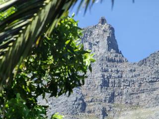 Botany House Boutique Retreat - 5