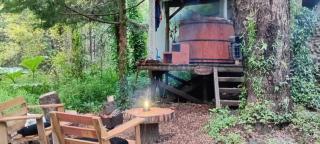 Pucón Magic forest - 4