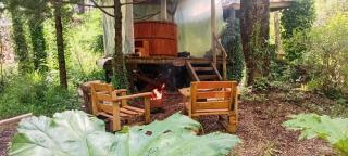 Pucón Magic forest - 5