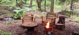 Pucón Magic forest - 6