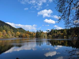 Medical Wellness RehaKlinik und Aqualon Therme - 4