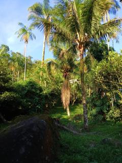 Entre Árvores Hoosts Confort - 5