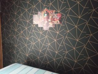 Camping estrela Ubatuba - 5