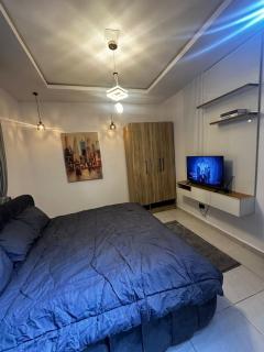 Crestline apartments - Lekki - 5