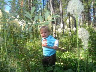 Group Vacation Rental for Family and Corporate Getaways near Glacier National Park, Montana - 9